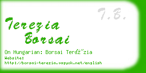 terezia borsai business card